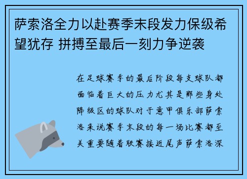 萨索洛全力以赴赛季末段发力保级希望犹存 拼搏至最后一刻力争逆袭